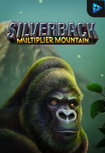 Bocoran RTP Silverback Multiplier Mountain foto di Timur188 Generator RTP Live Slot Resmi dan Akurat